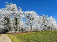 IMG_1842.webp IMG_1842.webp