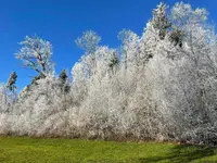 IMG_1843.webp IMG_1843.webp