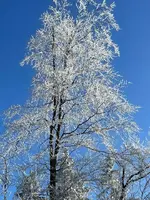 IMG_1844.webp IMG_1844.webp