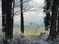 IMG_1845.webp IMG_1845.webp