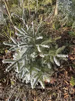 IMG_1846.webp IMG_1846.webp