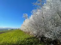 IMG_1847.webp IMG_1847.webp