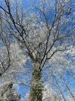 IMG_1848.webp IMG_1848.webp