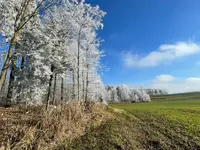 IMG_1849.webp IMG_1849.webp