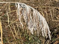 IMG_1850.webp IMG_1850.webp