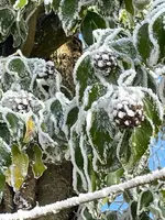 IMG_1852.webp IMG_1852.webp