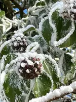 IMG_1853.webp IMG_1853.webp