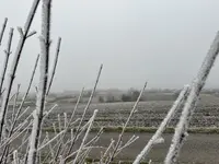 IMG_1847.webp IMG_1847.webp