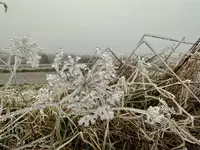 IMG_1848.webp IMG_1848.webp