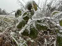 IMG_1849.webp IMG_1849.webp