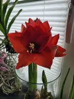 20241231_111858.webp