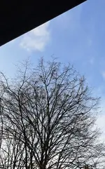 20250101_112141.webp 20250101_112141.webp