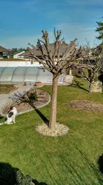 IMG_20200222_133649320_HDR.webp
