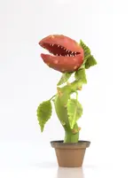 Feed me !.webp