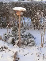 IMG_20250104_092402 - Kopie.webp