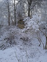 IMG_20250104_133743_1.jpg