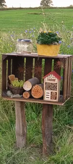 20230626_201837.webp