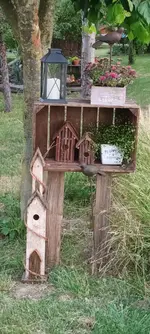 20230626_201921.webp