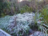 P1060339Raureif.webp