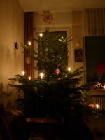 P1060417Weihnachtsbaum.JPG