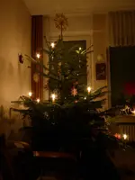 P1060417Weihnachtsbaum.webp