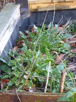 P1060440.webp