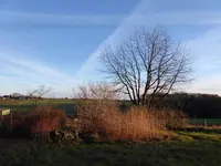 P1060443.webp