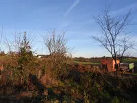 P1060444.webp