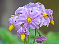 IMG_0883 v (2).webp
