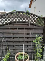 20240508_125619.jpg