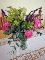 IMG_20230617_123813.webp