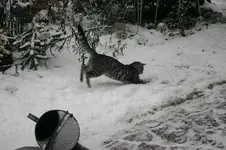 Jan.0110.webp