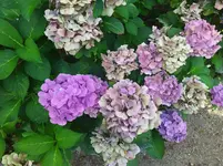 IMG_20230823_125552.webp