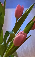 20250115_163349.webp