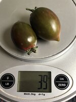 IMG_6798.jpeg