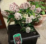 08.04 (19).webp