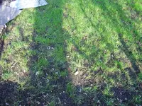 DSC09154.webp