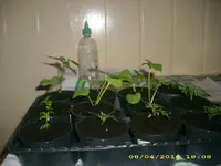 JD800004.webp