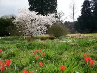 Hermannshof2.1.webp