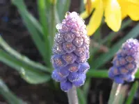 IMG_3394_1024x768.webp