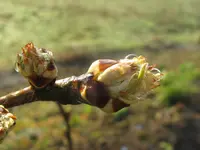 IMG_3400_1024x768.webp