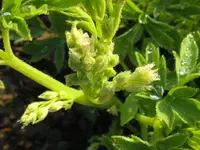 IMG_3407_1024x768.webp