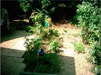 erster Garten.webp