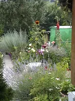 Garten4jahr1.webp