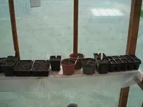 Garten 012.webp