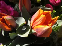 CIMG9128.webp