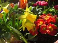 CIMG9131.webp
