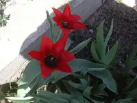 09.04.2010 023.webp