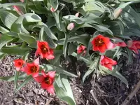 09.04.2010 024.webp