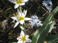 002.webp